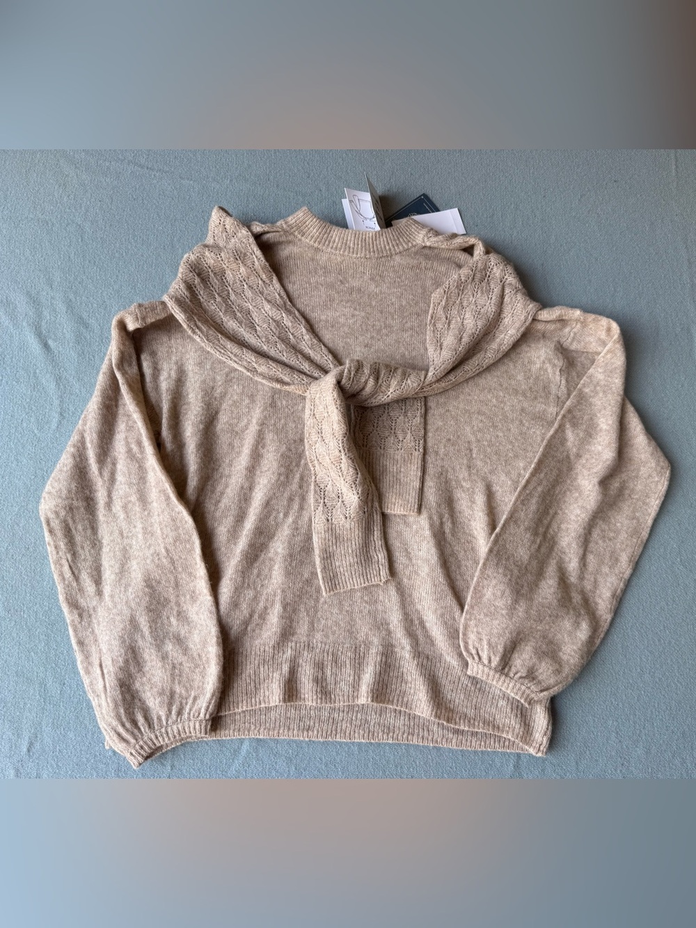 Democracy Women's Crewneck Sweater in Light Taupe
